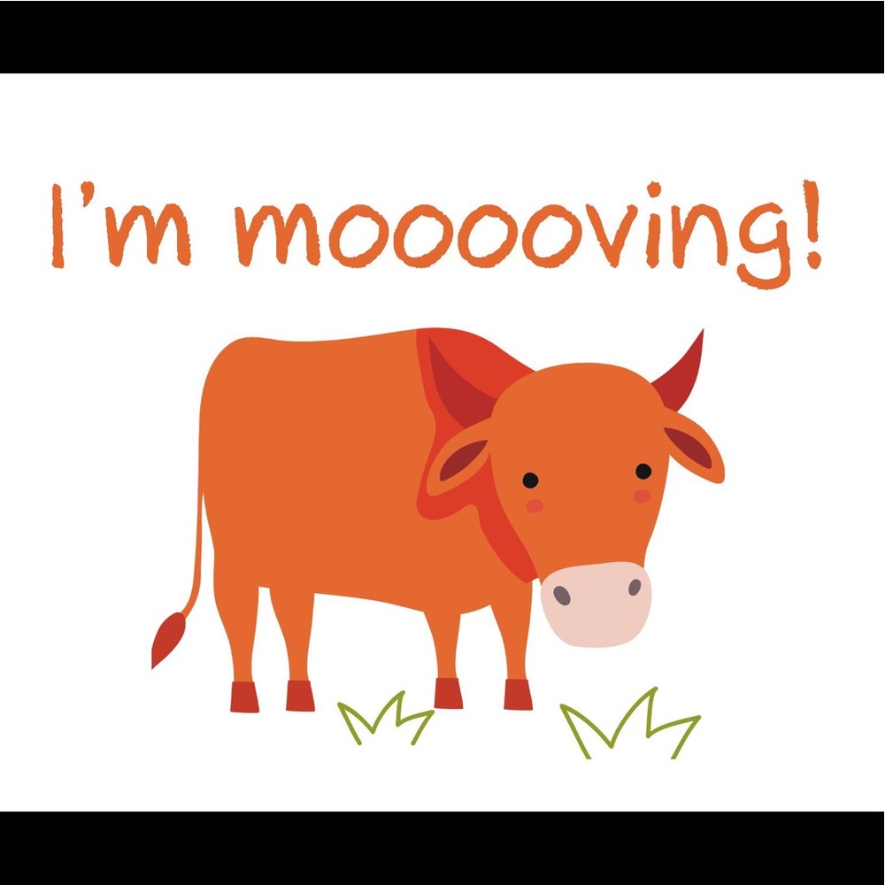 ‼️ CLOSET CLEAR OUT ‼️